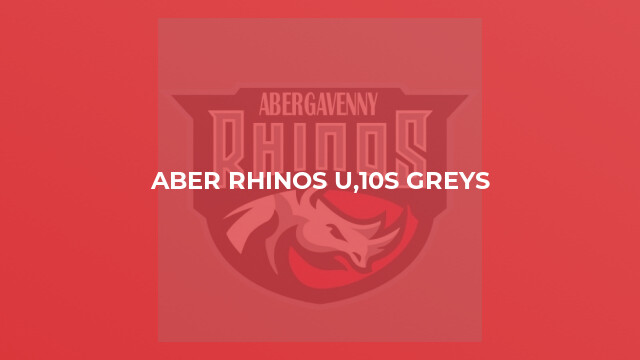 Aber Rhinos u,10s Greys