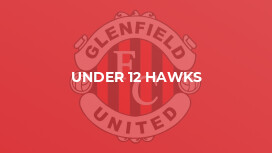 Under 12 Hawks