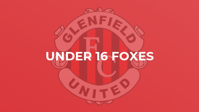 Under 16 Foxes