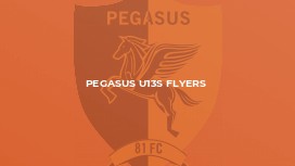 Pegasus U13s Flyers