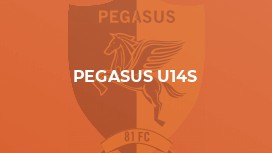 Pegasus U14s