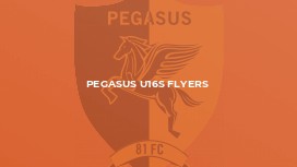 Pegasus U16s Flyers