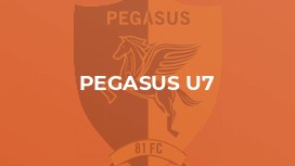 Pegasus U7