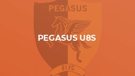 Pegasus U8s