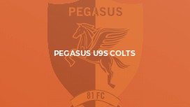 Pegasus U9s Colts