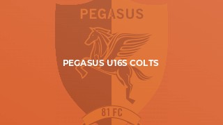 Pegasus U16s Colts