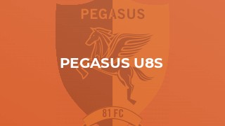 Pegasus U8s