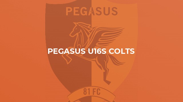 Pegasus U16s Colts