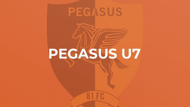 Pegasus U7