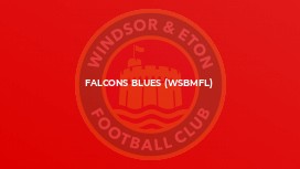 Falcons Blues (WSBMFL)