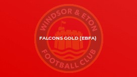 Falcons Gold (EBFA)