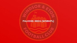 Falcons Reds (WSBMFL)