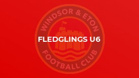 Fledglings U6