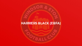 Harriers Black (EBFA)