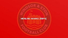 Merlins Hawks (EBFA)