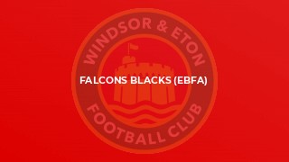 Falcons Blacks (EBFA)