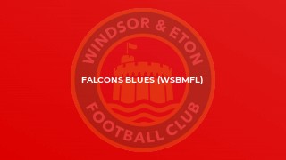 Falcons Blues (WSBMFL)