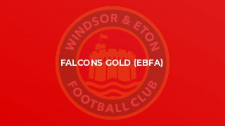 Falcons Gold (EBFA)