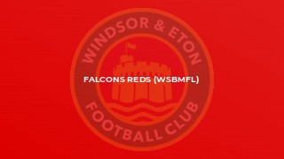 Falcons Reds (WSBMFL)