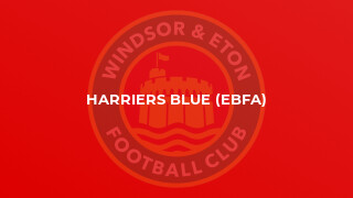 Harriers Blue (EBFA)