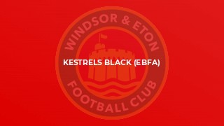 Kestrels Black (EBFA)