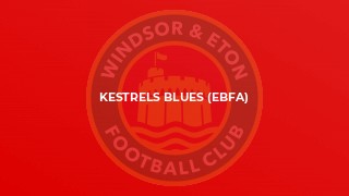 Kestrels Blues (EBFA)