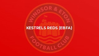 Kestrels Reds (EBFA)