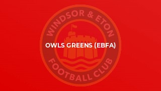 Owls Greens (EBFA)