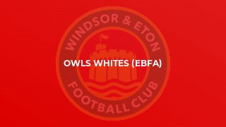 Owls Whites (EBFA)