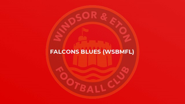 Falcons Blues (WSBMFL)