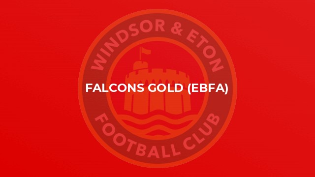 Falcons Gold (EBFA)