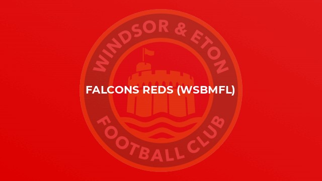 Falcons Reds (WSBMFL)