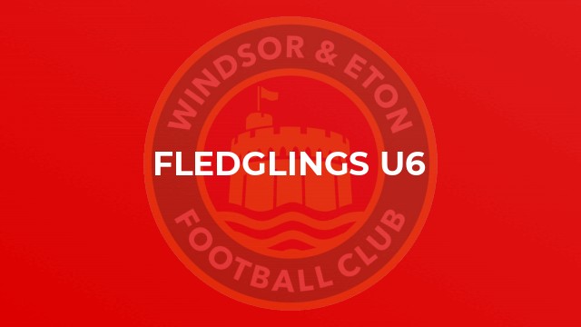 Fledglings U6