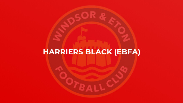 Harriers Black (EBFA)