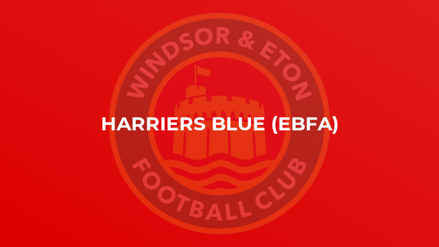 Harriers Blue (EBFA)