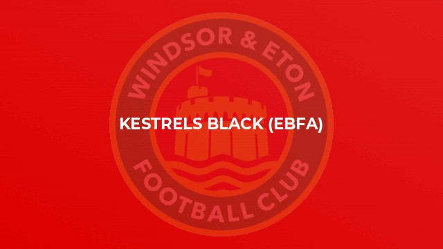 Kestrels Black (EBFA)