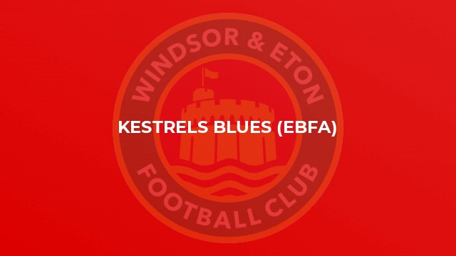 Kestrels Blues (EBFA)