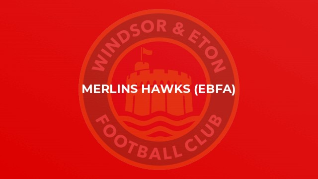 Merlins Hawks (EBFA)