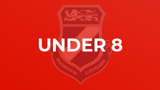 Under 8