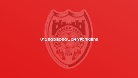 U12 Rodborough YFC Tigers