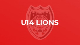 U14 Lions