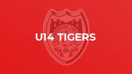 U14 Tigers