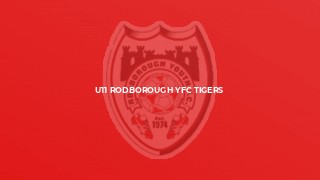 U11 Rodborough YFC Tigers