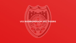 U12 Rodborough YFC Tigers