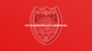 U13 Rodborough Lionesses