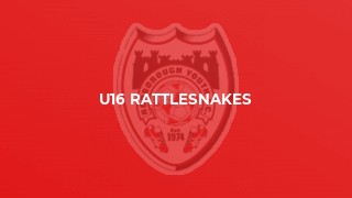 U16 Rattlesnakes
