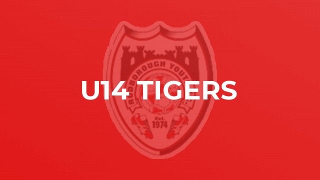 U14 Tigers