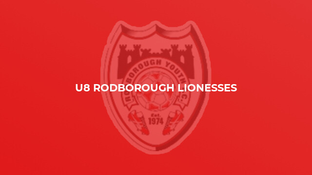U8 Rodborough Lionesses