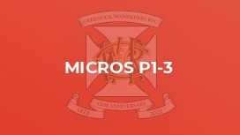 Micros P1-3