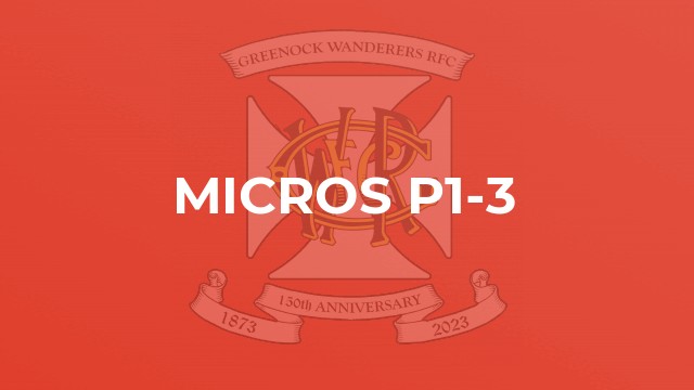 Micros P1-3